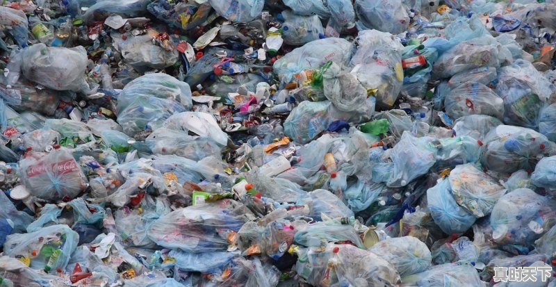 1、苹果香港商店值得下载的app,香港热门游戏排行前十名有哪些游戏名字 - 真时天下