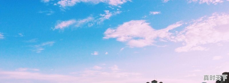 1、刘德华得奖电影七部,刘德华最新电影资料 - 真时天下