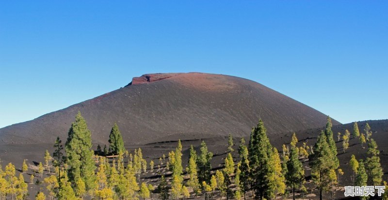 1、王鹤棣青年大使是什么,第九届丝绸之路电影节形象大使 - 真时天下