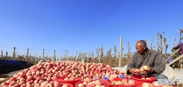 1、衡阳新能源发展规划,科技创新领航发展 - 真时天下