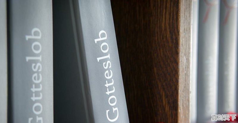 1、2021印度电影排行前十_成龙和印度女的拍的电影叫什么 - 真时天下