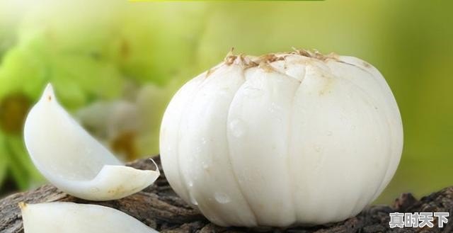 13、岷县各乡镇药材种植统计表_当归之乡 - 真时天下