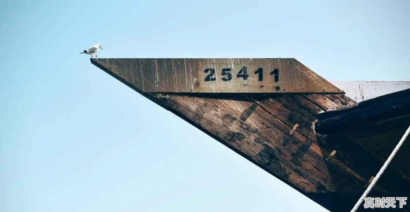 1、为什么范冰冰能去23年戛纳_范冰冰戛纳介绍 - 真时天下