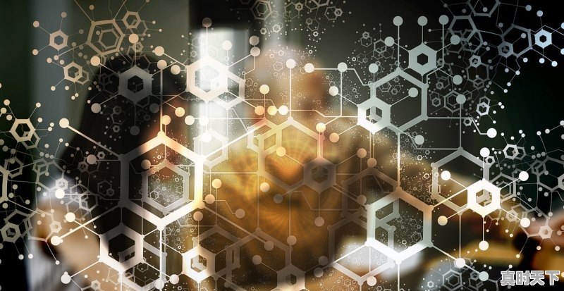 1、上交所对于异动停牌的规定，股票异动公告规定 - 真时天下