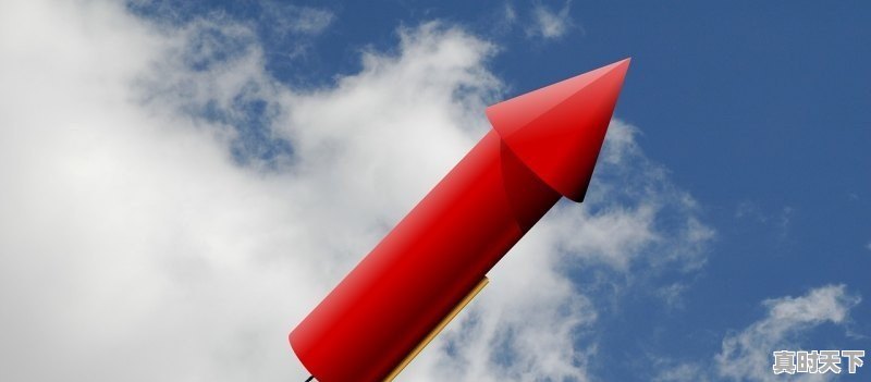 香菇什么季节最便宜，新鲜香菇价格今日行情 - 真时天下