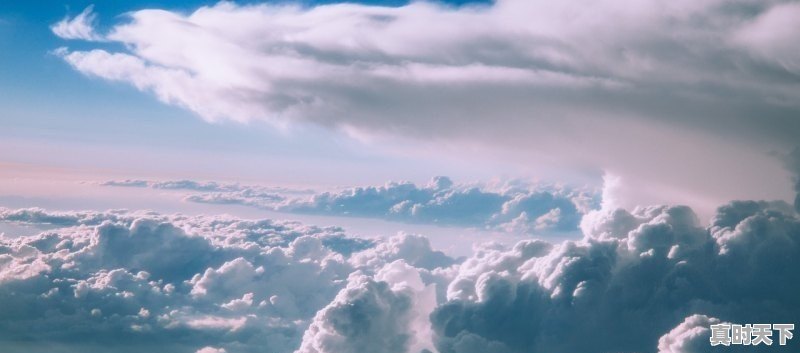 陈国坤张晋主演的电视剧,张晋最新电影少年当自强演员 - 真时天下