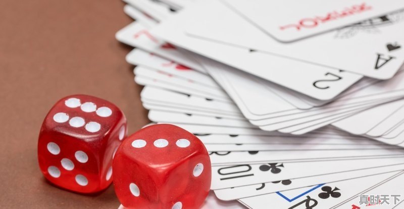 中国刑警海外行动剧情介绍_刑警之海外行动施亚楠结局 - 真时天下