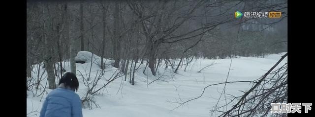 有什么电影里面风景特别好_哪些电影是在新西兰拍摄的 - 真时天下
