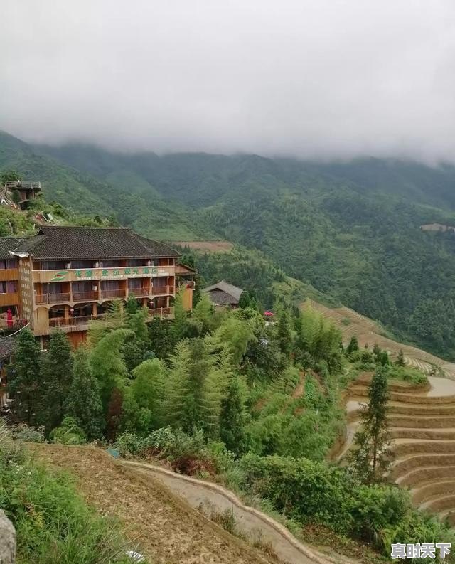 如何创新现代农业发展模式_2021农业科技博览会 - 真时天下