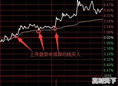 农业银行做t的原则与技巧 - 真时天下