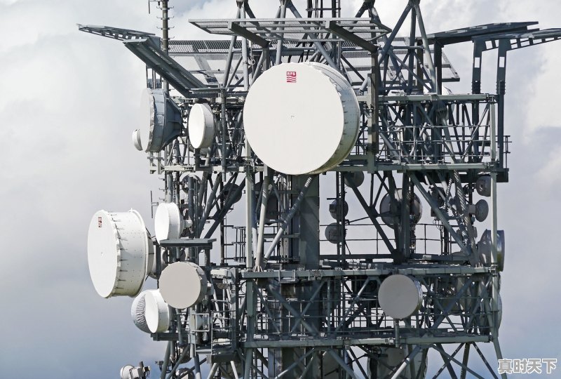 中远海控可以长期持有吗 - 真时天下