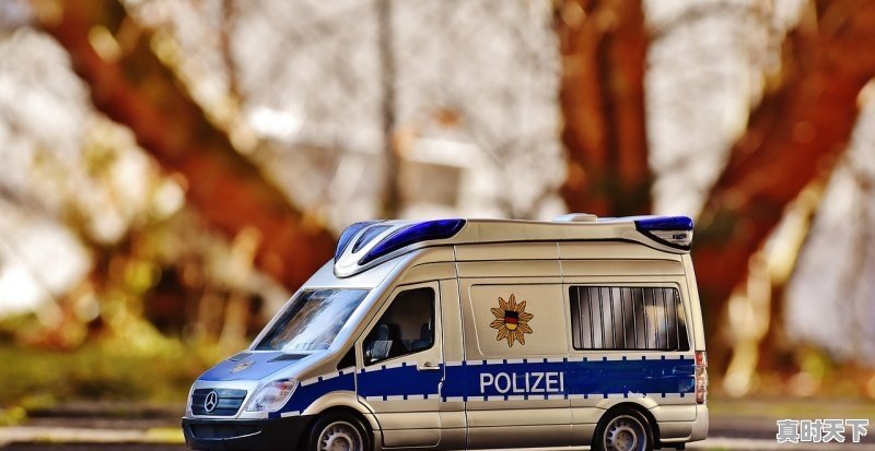 外地二手车能在青岛过户吗 - 真时天下