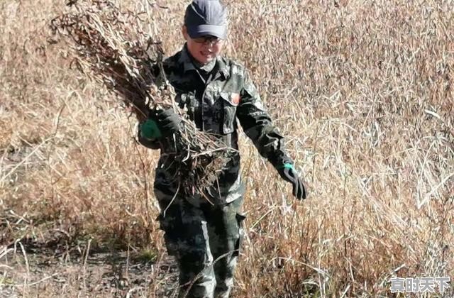 农业科技和农业科技发展有什么区别 - 真时天下