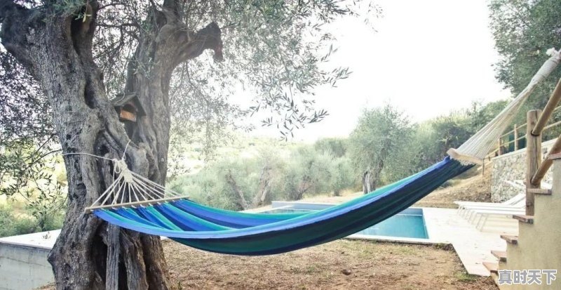 城轨交管是什么专业 - 真时天下