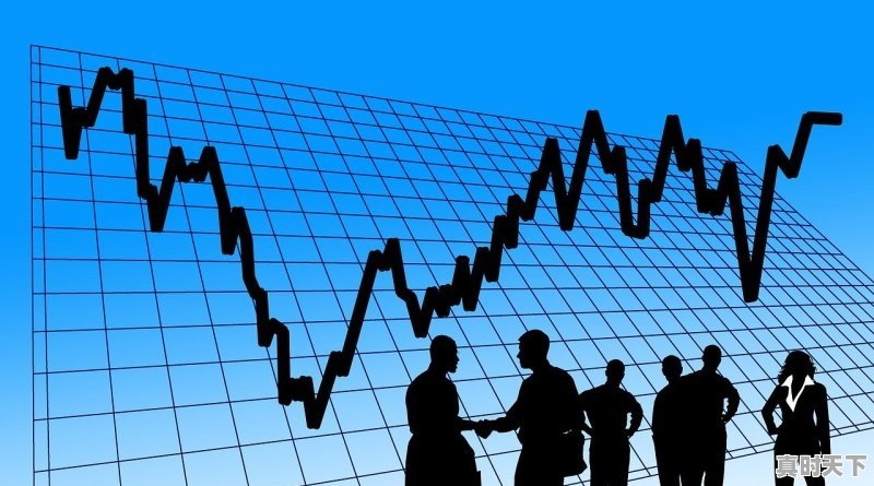 股票股价排行前十位 - 真时天下