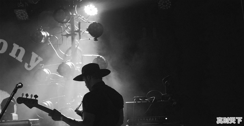 上海电影节2023年朱一龙出现时间 - 真时天下