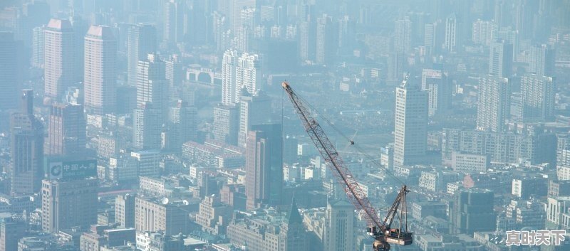 青岛胶东特产 - 真时天下