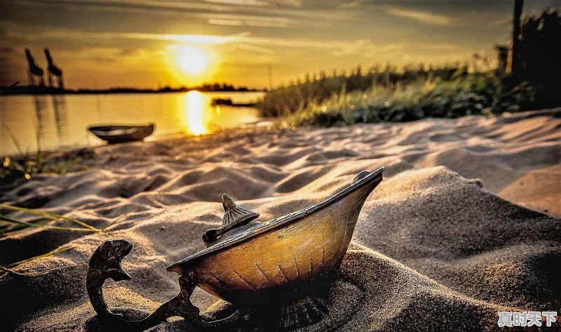 2021年最火的电影排行榜前十名,免费观看 - 真时天下