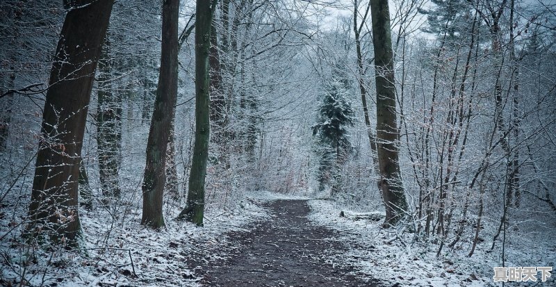 安徽芜湖天气能下雪吗 - 真时天下