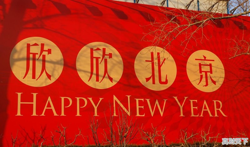 北京国际电影节是哪个台播出 - 真时天下