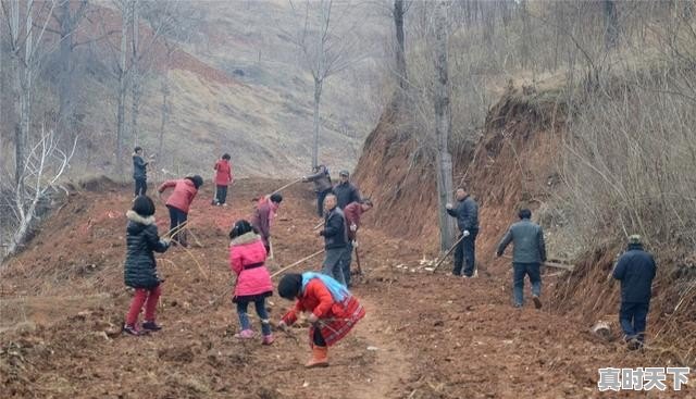 村里修路向村民收费,合理吗 - 真时天下