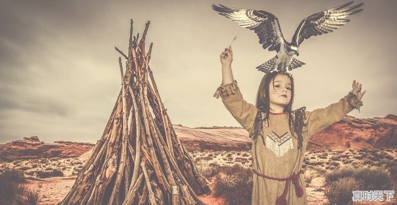 台安四大怪指的是什么 - 真时天下