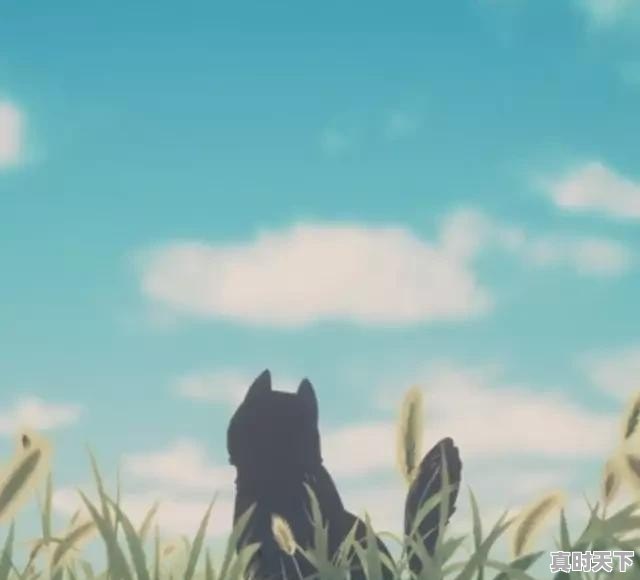 有没有那种很虐很虐的BL漫画 - 真时天下