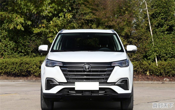 想买一辆国产S∪V,计划12万左右落地,哪一款比较靠谱求推荐 - 真时天下