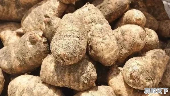 水浒中《智取生辰纲》一节，烈日炎炎似火烧，押解生辰纲的土兵为何还争着喝酒 - 真时天下