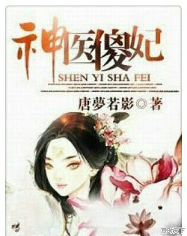 古装爱情动漫推荐治愈系女主文学 - 真时天下