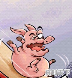 今日带皮羊肉价格 - 真时天下