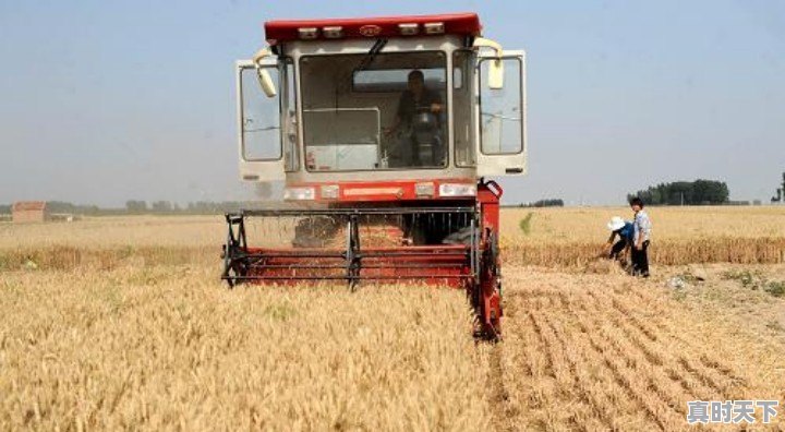 我弟想买一辆收割机割麦子，我也不清楚能不能赚钱，请问有没有懂这个的大佬帮忙分析下 - 真时天下