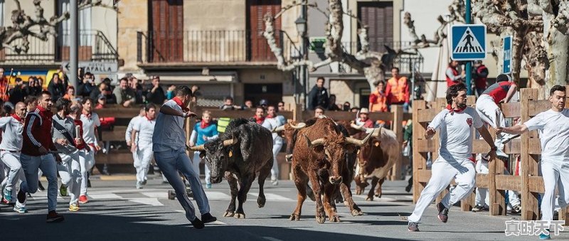 张家辉古天乐最新电影作品 - 真时天下