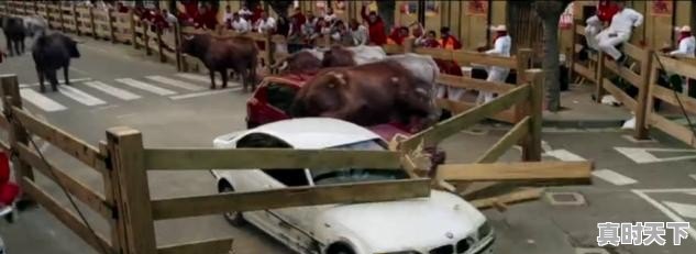 张家辉古天乐最新电影作品 - 真时天下