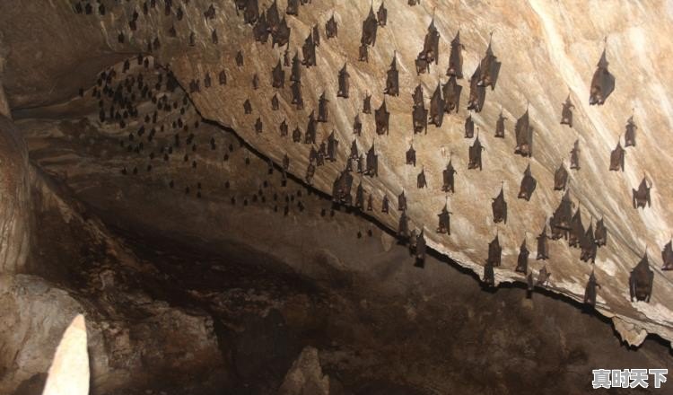 马来西亚兰卡威天气 - 真时天下