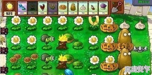 1、冷轧板和热轧板哪个贵,日钢今日板材价格 - 真时天下