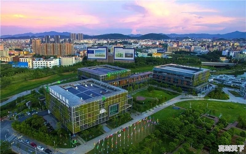 龙岗买房哪个地段最好 - 真时天下