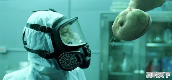 你看过的重口味电视剧有哪些 - 真时天下