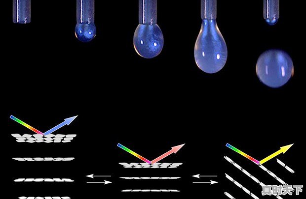 我喜欢研究,发明,创新,如何创业 - 真时天下