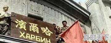 刚刚,黎巴嫩港口爆炸是核弹吗 - 真时天下