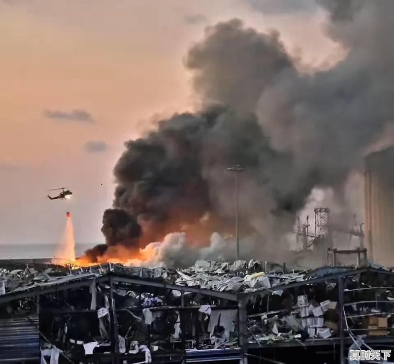 刚刚,黎巴嫩港口爆炸是核弹吗 - 真时天下