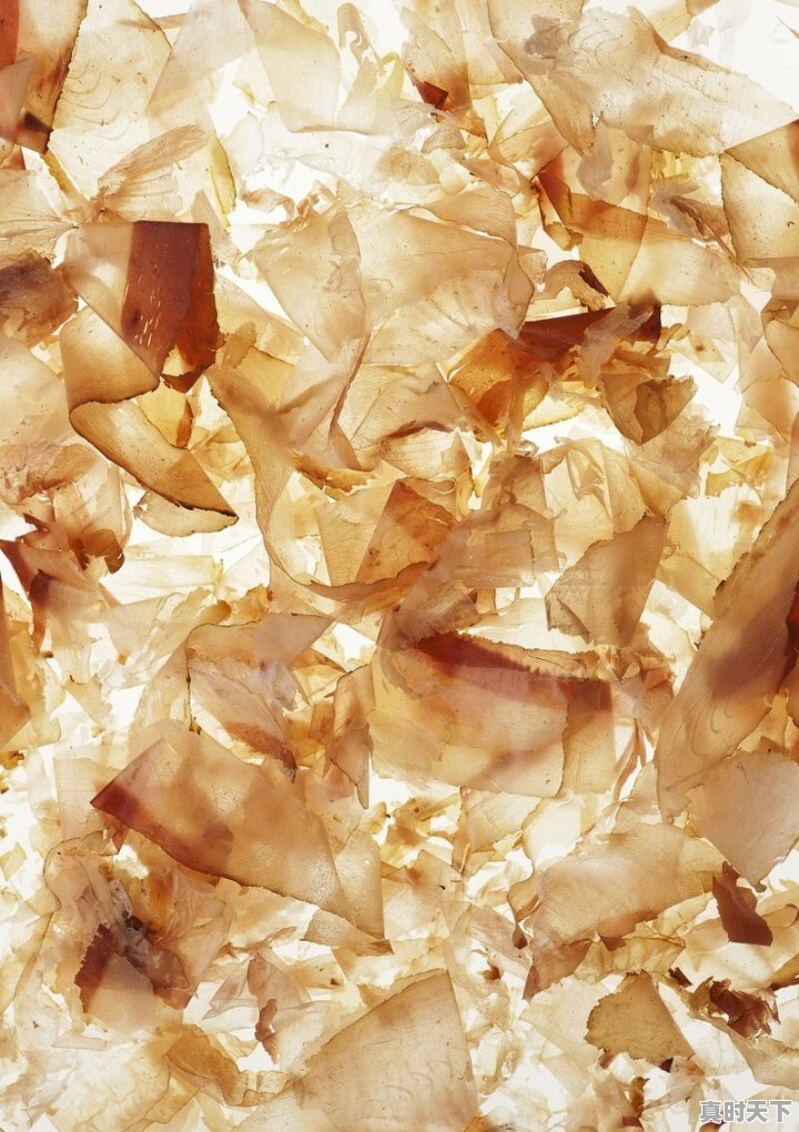 豆油怎么看?到底是涨还是跌 - 真时天下