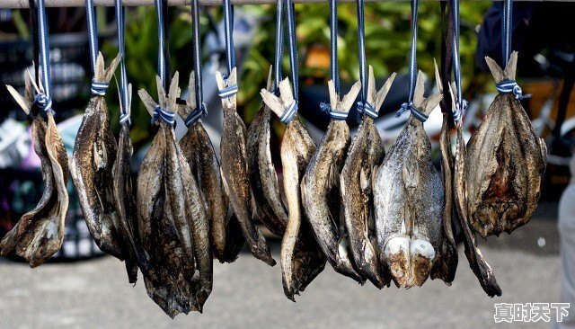 豆油怎么看?到底是涨还是跌 - 真时天下