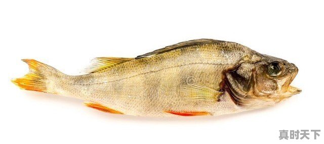 豆油怎么看?到底是涨还是跌 - 真时天下