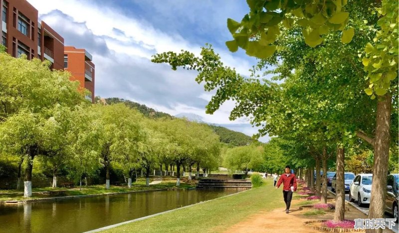 泰安丰田微信群二手车 - 真时天下