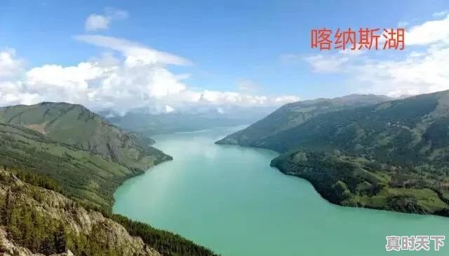 泰安丰田微信群二手车 - 真时天下