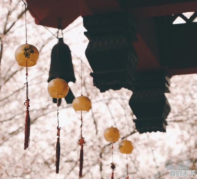 泰安丰田微信群二手车 - 真时天下