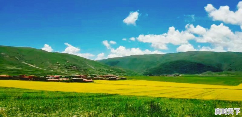 泰安丰田微信群二手车 - 真时天下