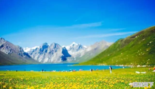 泰安丰田微信群二手车 - 真时天下