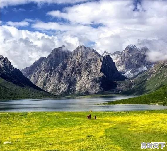 泰安丰田微信群二手车 - 真时天下